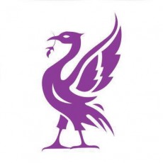 liverpool futsal club ladies team logo